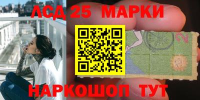 крисы Кимры